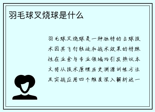 羽毛球叉烧球是什么