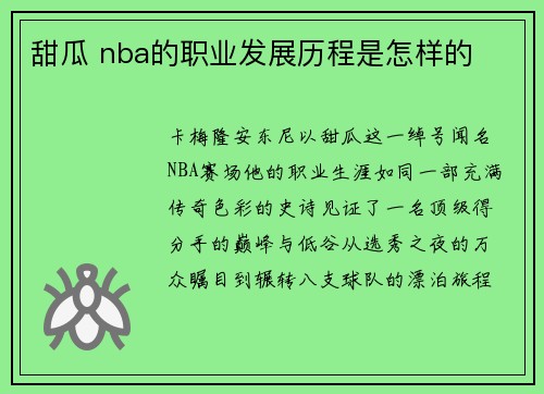 甜瓜 nba的职业发展历程是怎样的