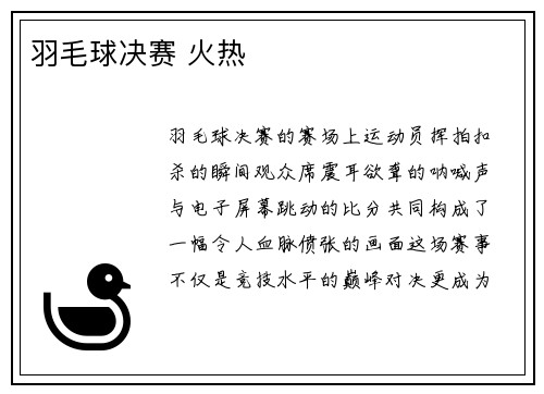 羽毛球决赛 火热